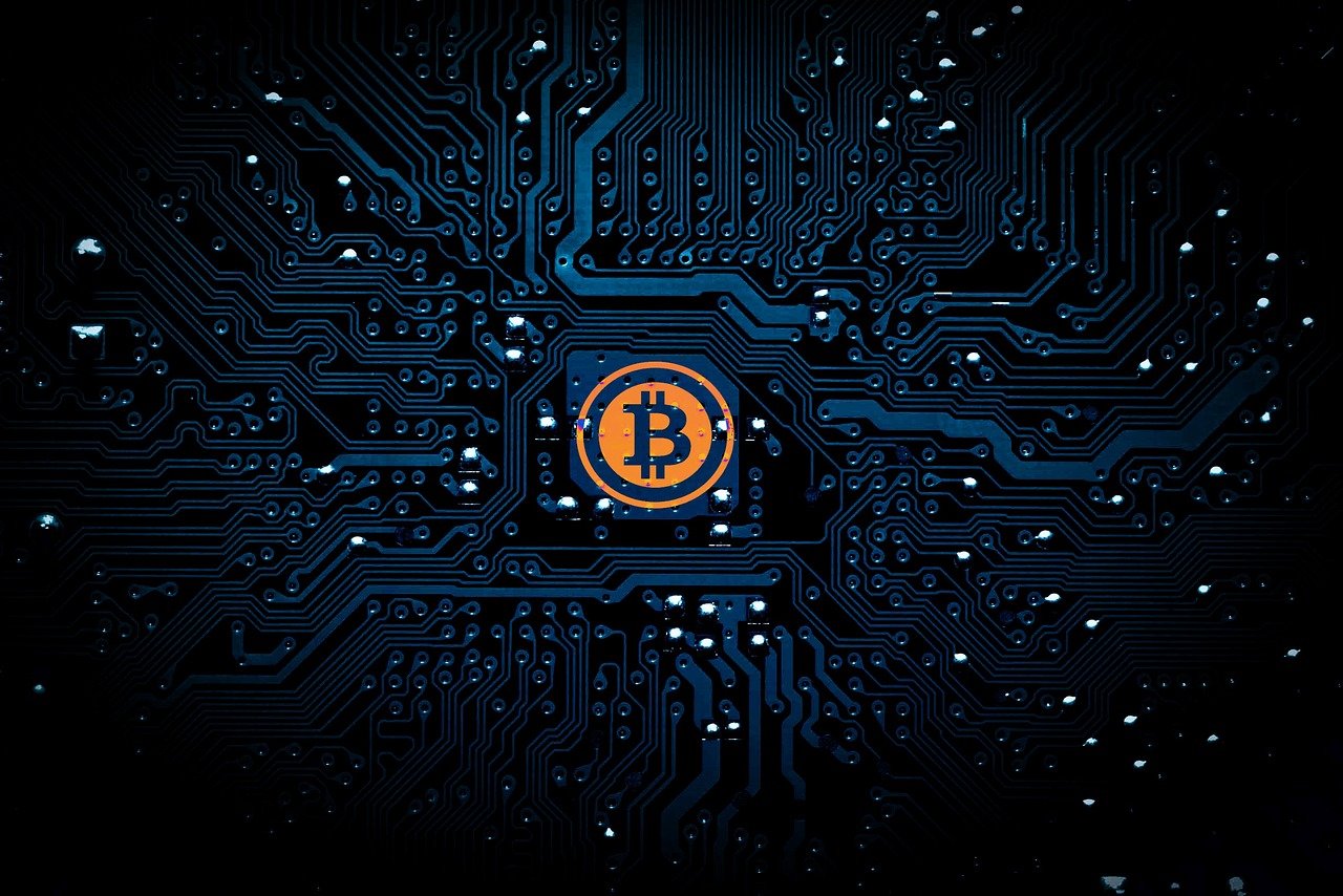 稻城 第21页